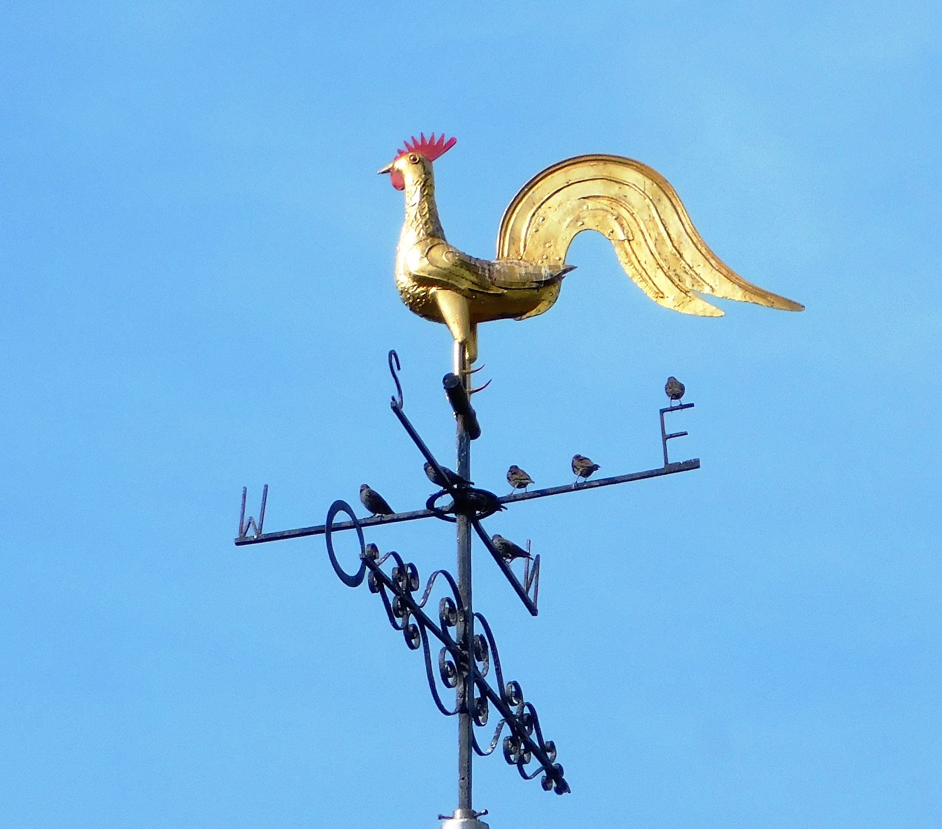 weathervane 1